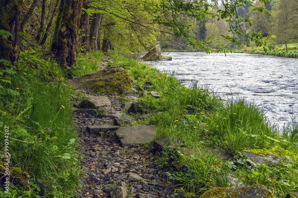 Impressions of the hiking trail Ilztalwanderweg near Kalteneck, Passau, Bavaria, in spring Impressions of the hiking trail Ilztalwanderweg near Kalteneck, Passau, Bavaria, in spring