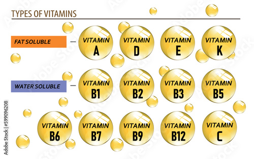 Vitamin A, B1, B2, B3, B5, B6, B7, B9, B12, K, C, D, E vector illustration and their essential benefits and supports for health. can be used for print, poster, leaflets, children books and sticker.