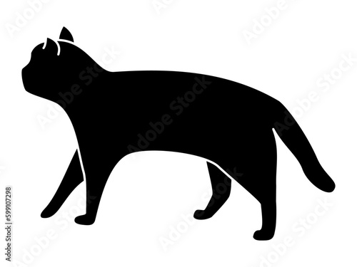 ゆっくりと歩き去ってゆく左向きの猫のシルエット