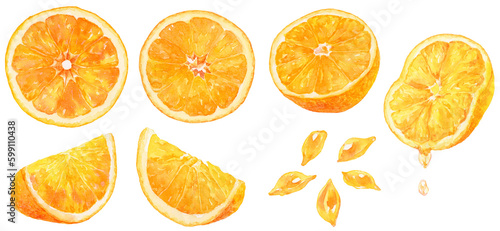 水彩画イラスト カットされたオレンジ・みかんの素材集 果肉や果汁、オレンジの粒