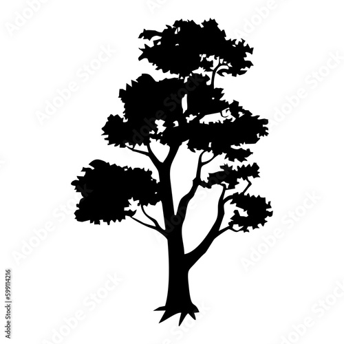 silhouette of a tree