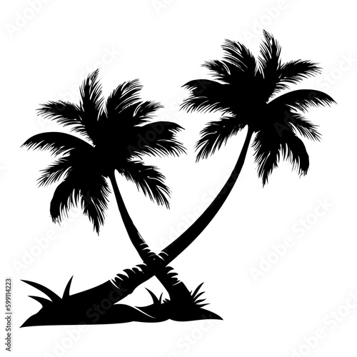 silhouette of a palm tree