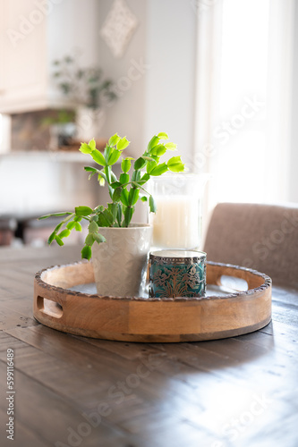 showcasing a lively green plant placed in a chic white vase on a rustic wooden table. The seamless fusion of natural elements and minimalist design generates a soothing and visually appealing ambiance