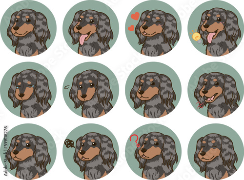 ダックスフンドの表情アイコンセット（ロングコート、シルバーダップル）