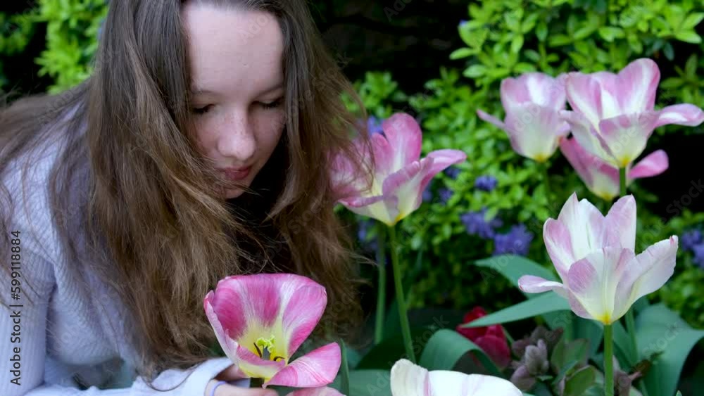 teenage girl tender face loose hair sniffing tulips spring Attractive Young Woman Looking Behind Tulips. High quality 4k footage teenage girl tender face loose hair sniffing tulips spring Attractive Young Woman Looking Behind Tulips. High quality 4k footage