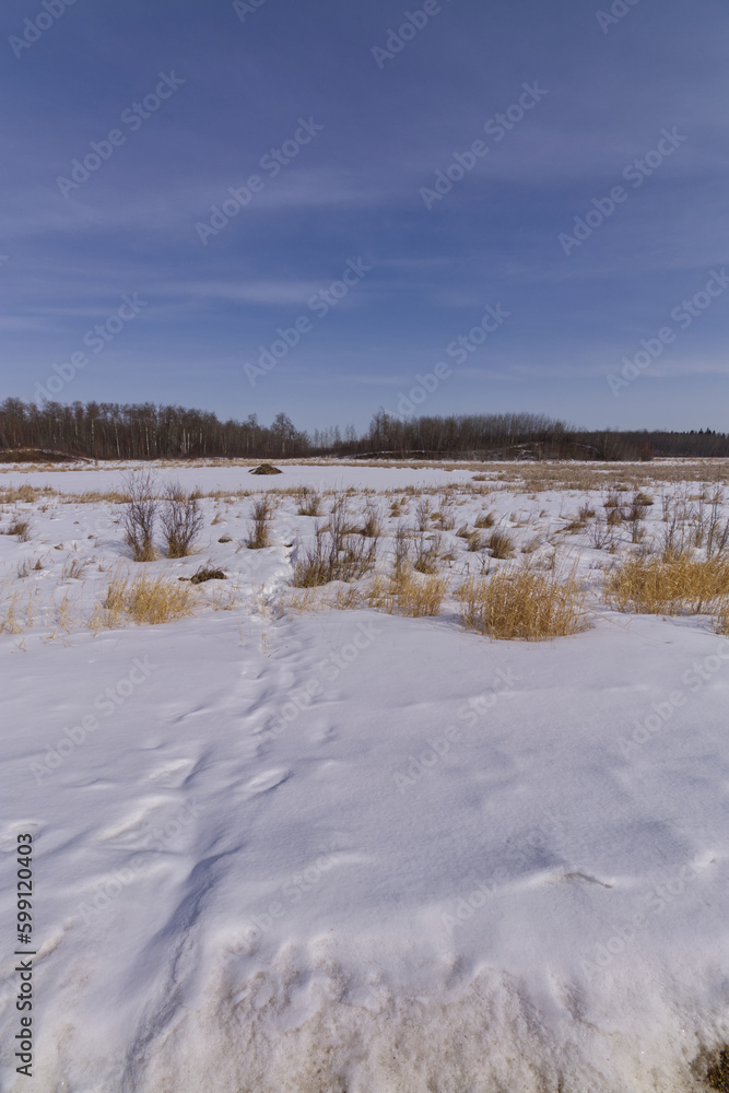 Wintry Landscape of Elk Island National Park Wintry Landscape of Elk Island National Park