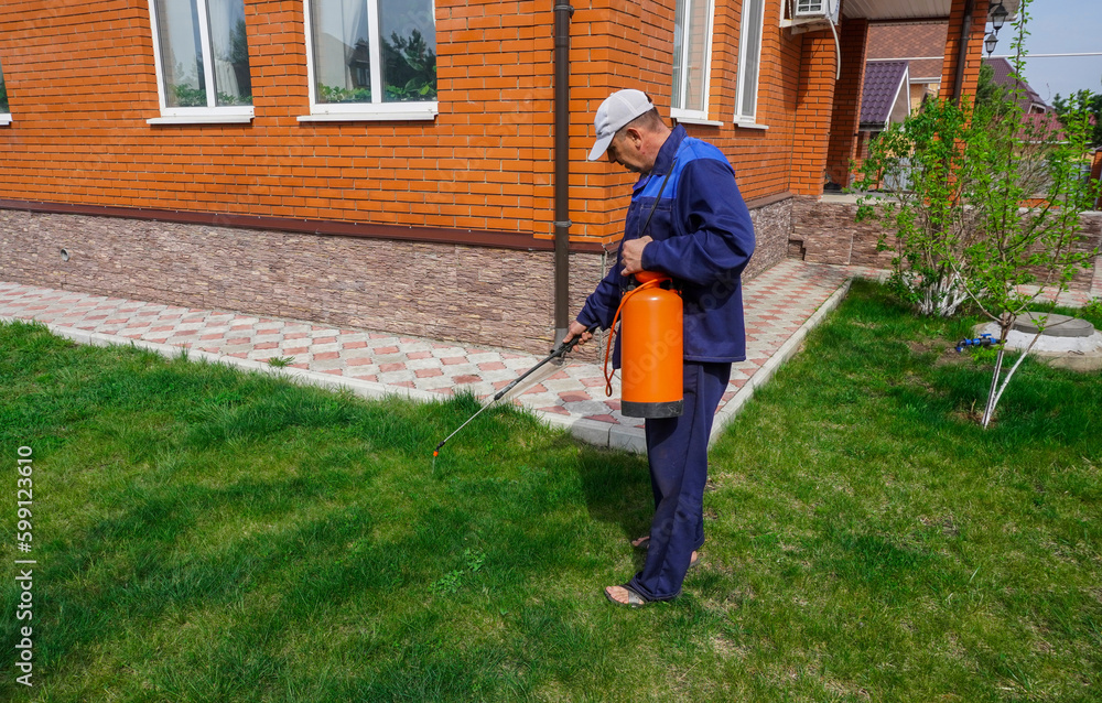 A man works in the garden, spraying weeds from a sprayer.