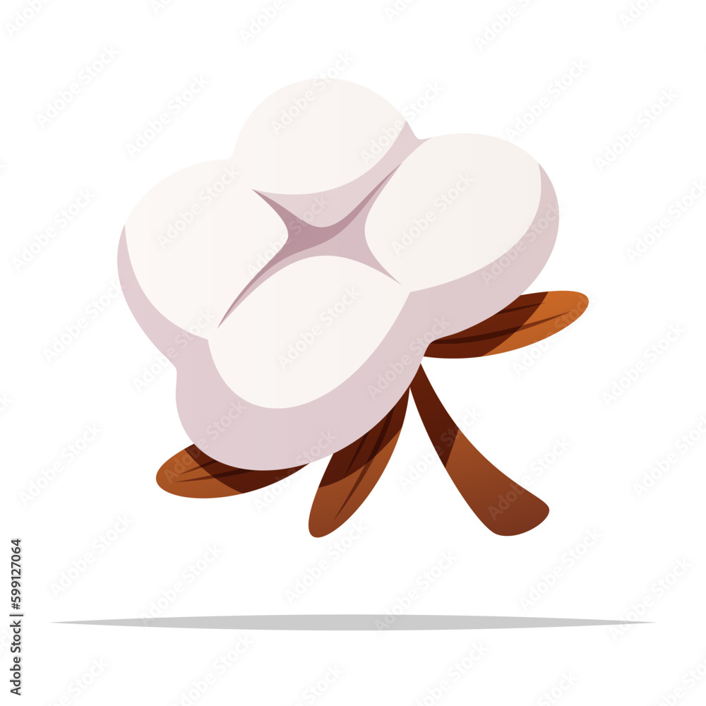 Obraz premium Cotton plant flower vector isolated illustration