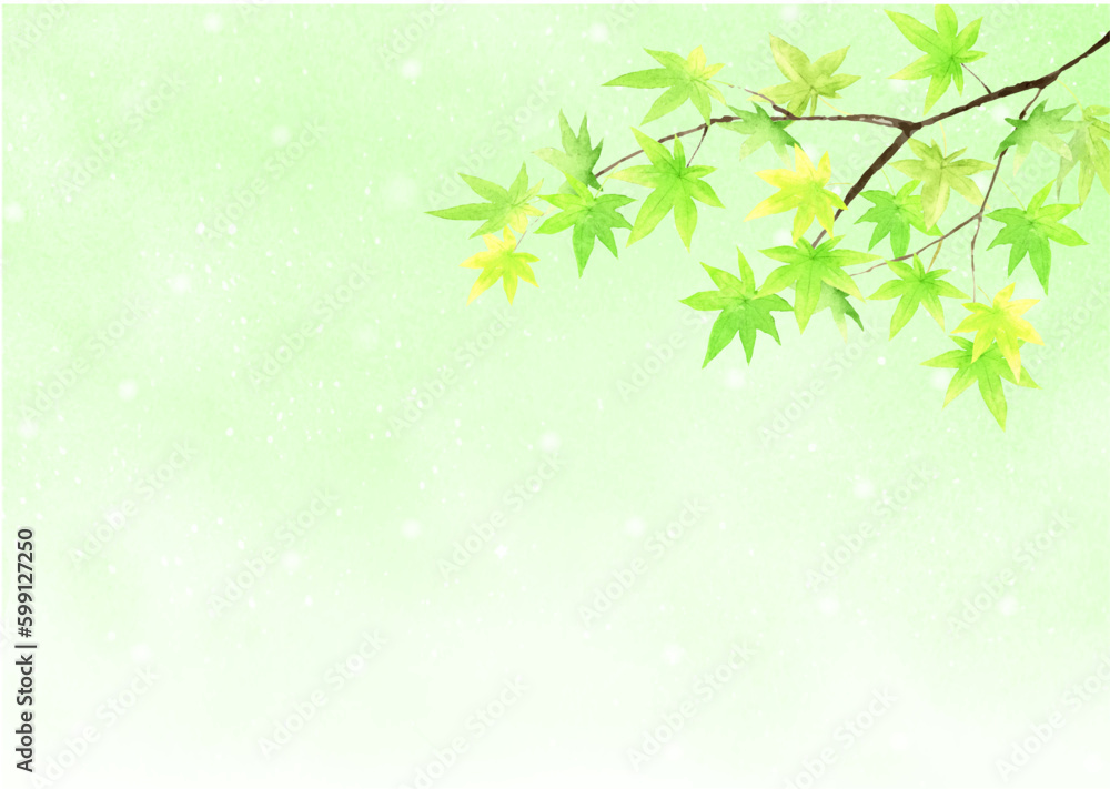 水彩で描いた青もみじの背景 水彩で描いた青もみじの背景