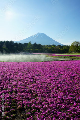 It’s spring now so the flowers should bloom soon