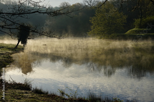 niebla