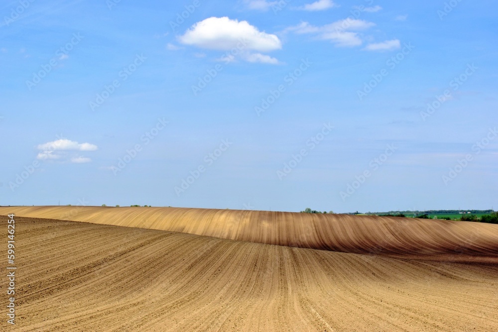 freshly tilled yellow brown farm field. undulating hilly rural land. abstract perspective view. blue sky. white clouds. nature and outdoors. farming and agriculture. grooved ploughed soil texture freshly tilled yellow brown farm field. undulating hilly rural land. abstract perspective view. blue sky. white clouds. nature and outdoors. farming and agriculture. grooved ploughed soil texture