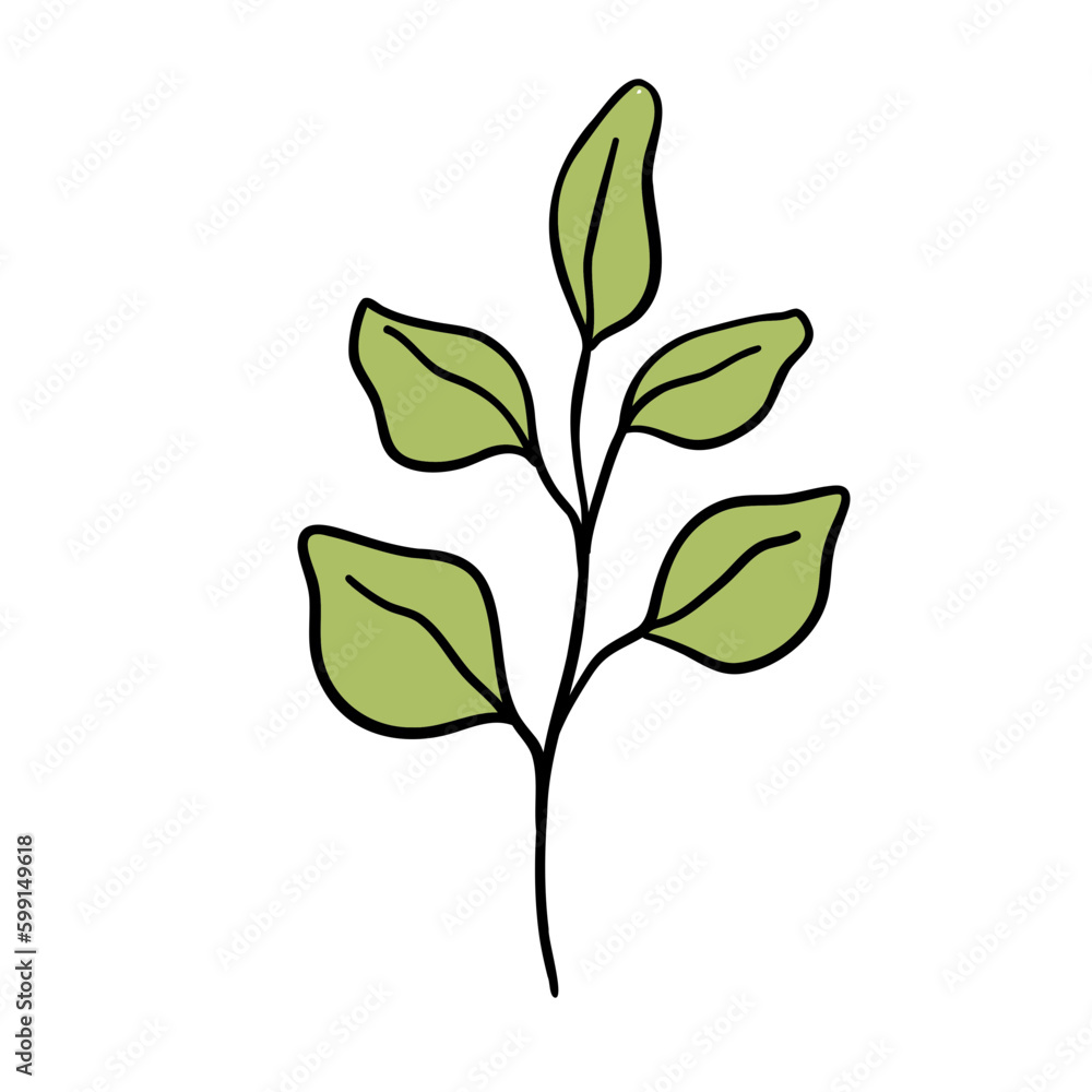 leaf leaf