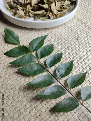 Fresh salam koja or daun kari is curry leaves used mostly ini Indian cuisine to give arousing aroma on food. Green leaves, on white plate. Bright background. photo