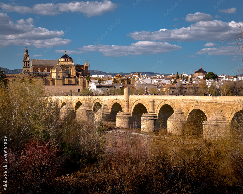 panoramic view of the roman bridge and mosque of Cordoba