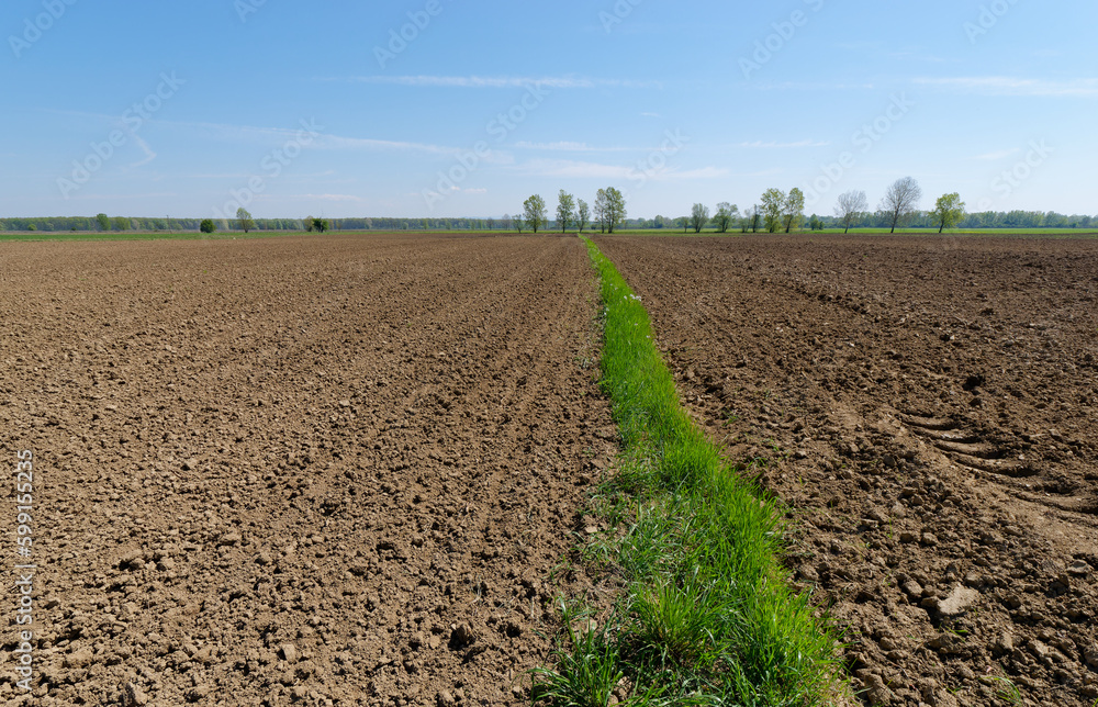 Low-angle view of the agricultural field and a and trees in the background near the village of Krapje, Lonjsko Polje Nature Park, Croatia Low-angle view of the agricultural field and a and trees in the background near the village of Krapje, Lonjsko Polje Nature Park, Croatia