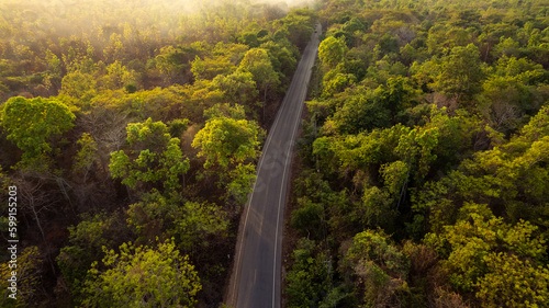 Aerial view of asphalt road in a forest with smoke from a fire forest burn.