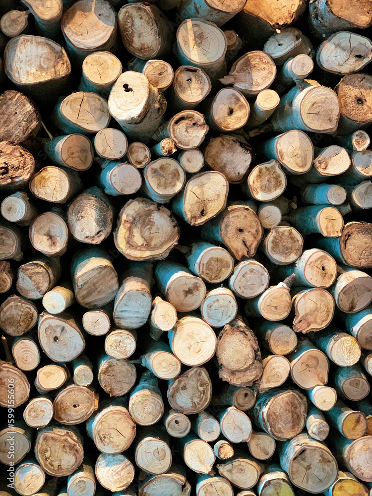 A closeup of aspen logs A closeup of aspen logs