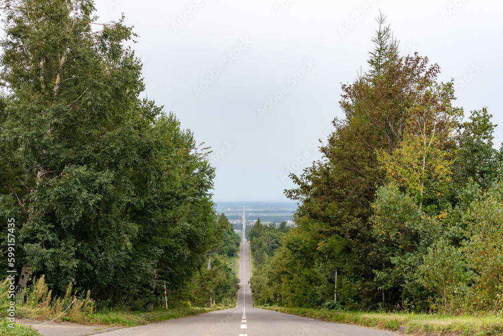 Obraz premium 北海道 斜里町 天に続く道