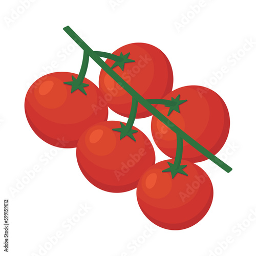 Vector illustration of cherry tomatoes on the vine.