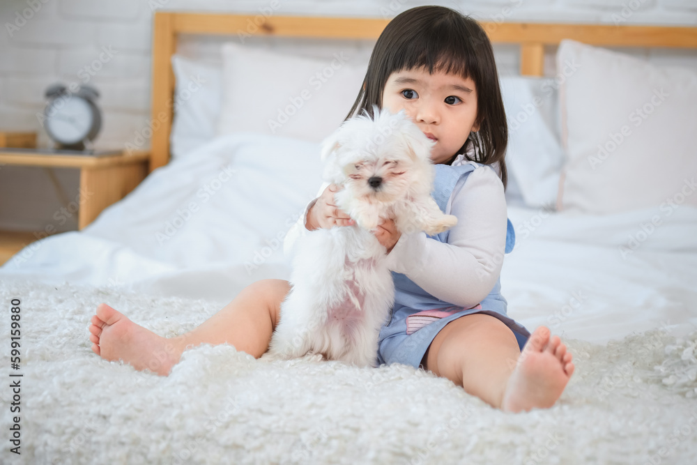 The little girl holding the white dog close to her chest feeling it's soft fur against her skin. The little girl holding the white dog close to her chest feeling it's soft fur against her skin.