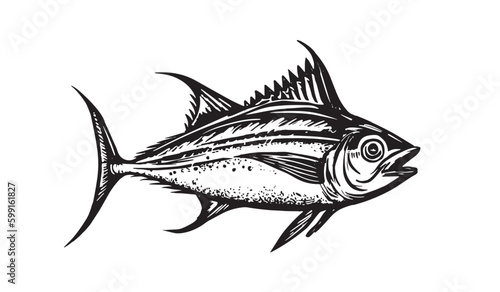 Tuna hand drawn Illustration, vector.