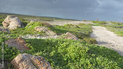 Deserted remote shoreline landscape, a rocky shore, green coastal plants, a distant lighthouse on the horizon and dark grey storm clouds on horizon.