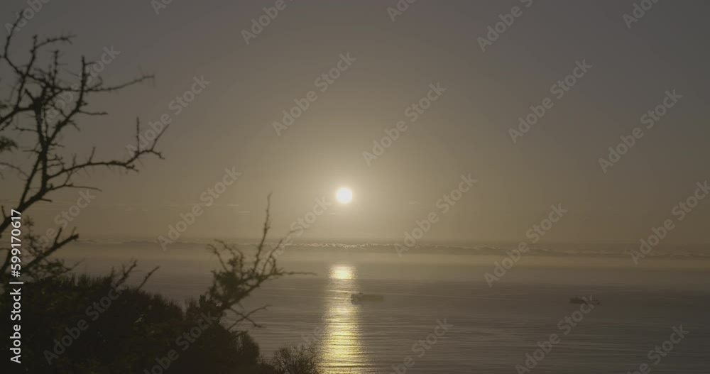 Wide panoramic shot in Cape Town South Africa over the sea of the sunset with boats passing by on a sunny day and moving clouds and some plants in the foreground LOG Wide panoramic shot in Cape Town South Africa over the sea of the sunset with boats passing by on a sunny day and moving clouds and some plants in the foreground LOG