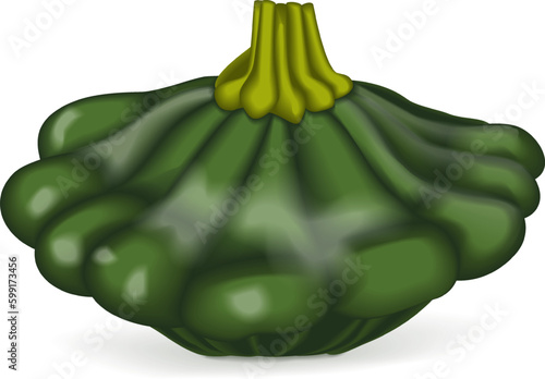 Green Patty Pan squash or Scallop or Scallopini squash. Summer squash. Cucurbita pepo. Fruits and vegetables. Vector illustration isolated on white background.