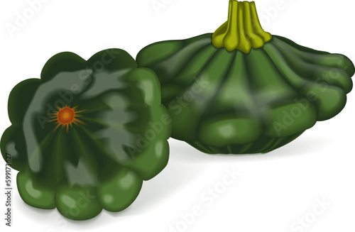 Group of Green Patty Pan squash or Scallop or Scallopini squash. Summer squash. Cucurbita pepo. Fruits and vegetables. Vector illustration isolated on white background.
