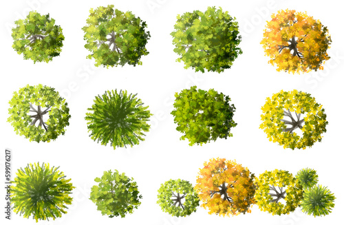 Vector watercolor of blooming tree top view isolated on white background for landscape plan and architecture drawing, elements for environment and garden,botanical elements ,blooming flowers in spring