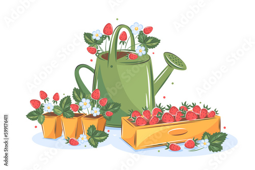 Watering can and strawberries in boxes. Gardening, growing plants, agricultural tools. Vector illustration