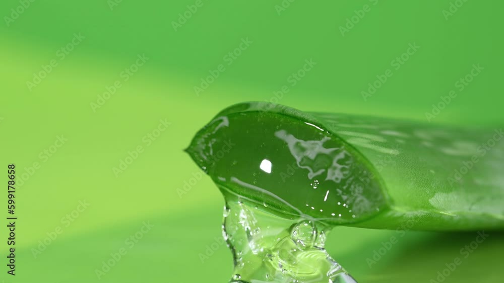 Aloe Vera Gel dripping from aloe leaf close-up. Aloe herbal skin care or healthcare. Alternative medicine. Aloe Vera Gel dripping from aloe leaf close-up. Aloe herbal skin care or healthcare. Alternative medicine.