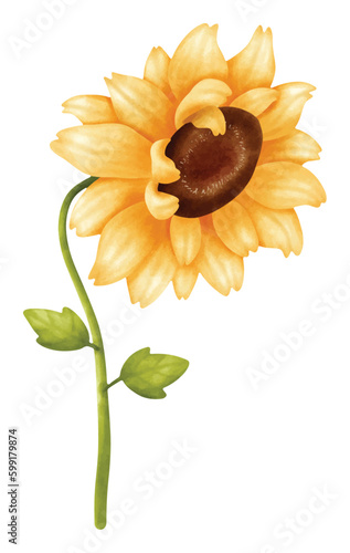 sunflower watercolor vector file , cute cartoon vintage style.