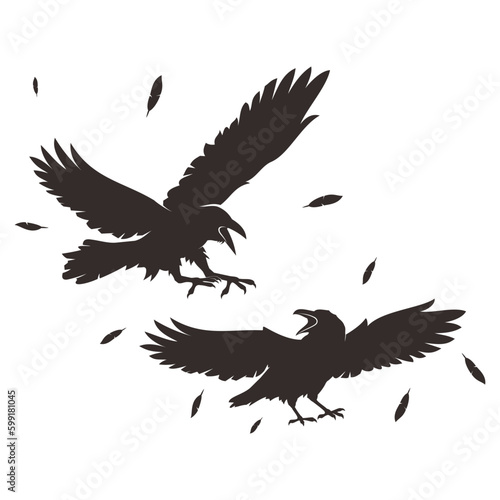 crow fight vector illustration