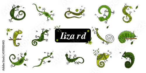 Lizard characters, jungle animal. Chameleon icons set for your design