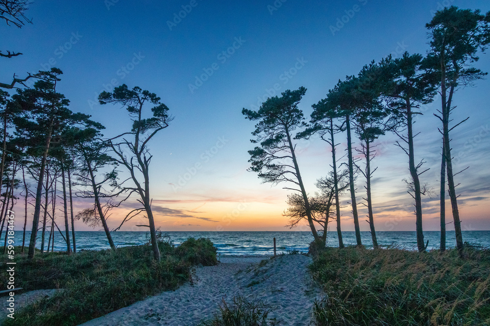 Obraz premium Sonnenuntergang am Darßer Weststrand.
