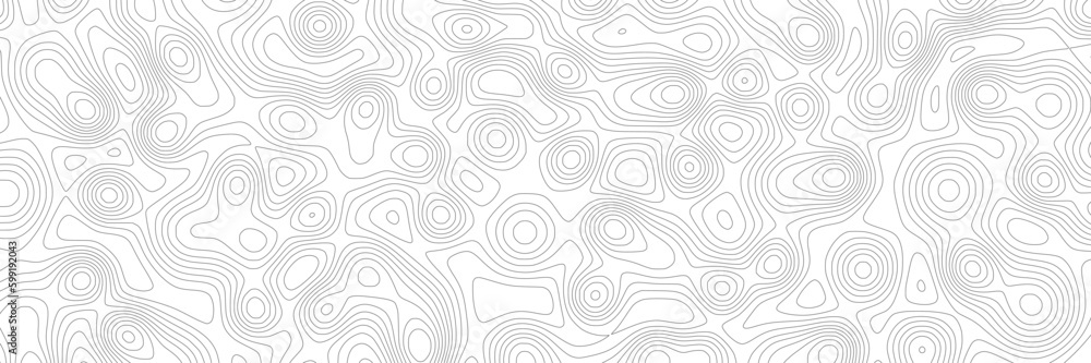 Light gray vector background, banner. Abstract contour lines. Light gray vector background, banner. Abstract contour lines.