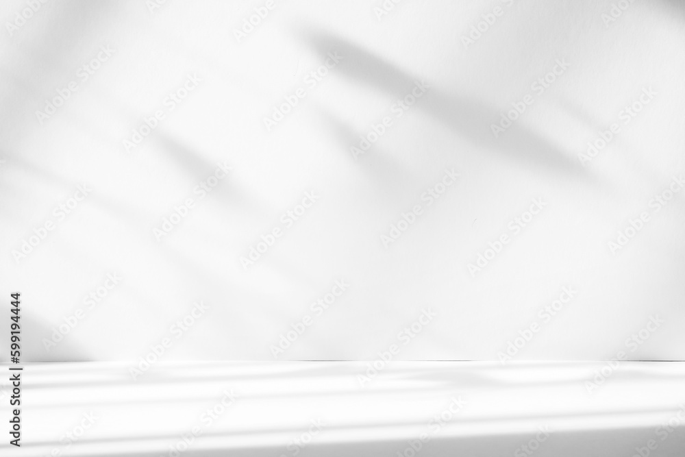 Abstract white studio background with shadows of window. Empty 3d room. Display product with blurred backdrop. Abstract white studio background with shadows of window. Empty 3d room. Display product with blurred backdrop.