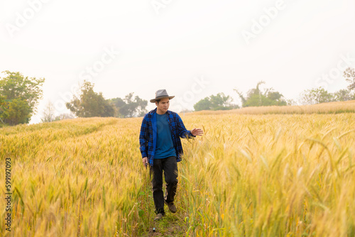 Valokuva Asian man inspecting wheat on barley field background, happy agronomist farmer p