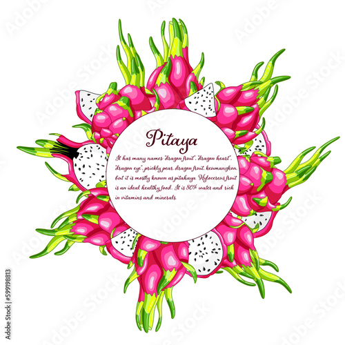 Dragon fruit tasty circle frame. Sweet dessert of tropical cactus. Exotic pitaya design. Fresh pitahaya exotic food. Pink juicy slices of vitamin