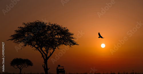 Photography Silhouettes of african wild animals at sunset