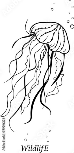 Photography jellyfish in the style of a line drawing with the inscription wild life