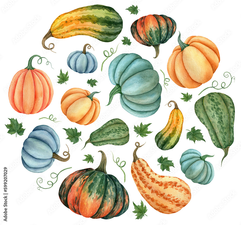 Watercolor label in the form of a vegetable circle with the image of pumpkins for the design of signage, agribusiness logo, banner with organic food, healthy brand labels. Hand-drawn illustration for - obrazy, fototapety, plakaty 
