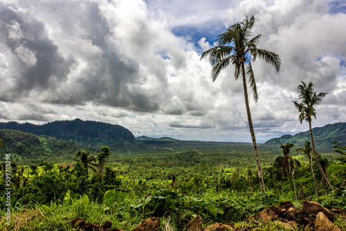 Gray and white cumulus clouds over forested hills at Samoa Upolu island, Atua province, Pacific Ocean. Tall coconut tree of green tropical forest.