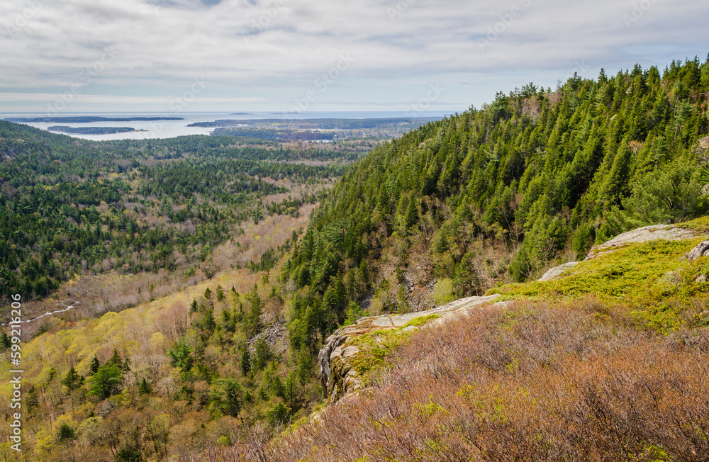 Overlook at Acadia National Park