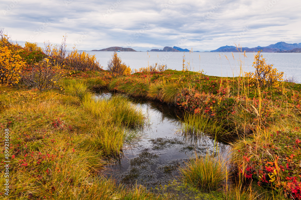 Jekthamna is a small but beautiful inlet surrounded by trees in autumnal colors in Senja island, Troms og Finnmark, Norway Jekthamna is a small but beautiful inlet surrounded by trees in autumnal colors in Senja island, Troms og Finnmark, Norway