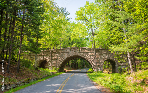 Carriage Roads and Bridge at Acadia National Park photo