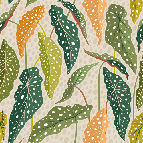 Polka Dot Begonia/Begonia Maculata leaves. Colorful seamless vector pattern