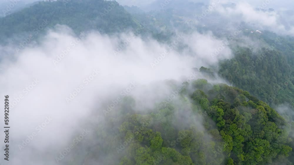 Beautiful morning mist - cloud formation over rain forest below - 4k drone footage Beautiful morning mist - cloud formation over rain forest below - 4k drone footage